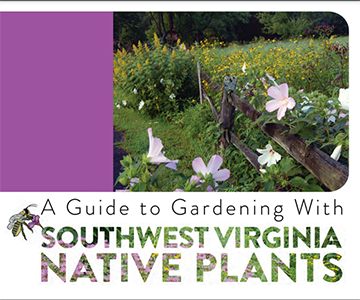 Southwest Virginia Native Plants Guide