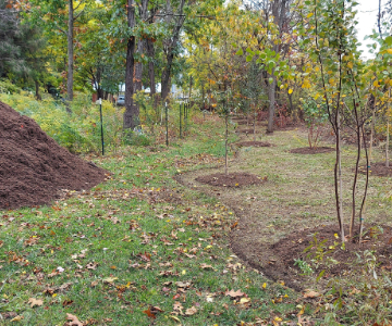 Crab Creek Stormwater Beautification Project